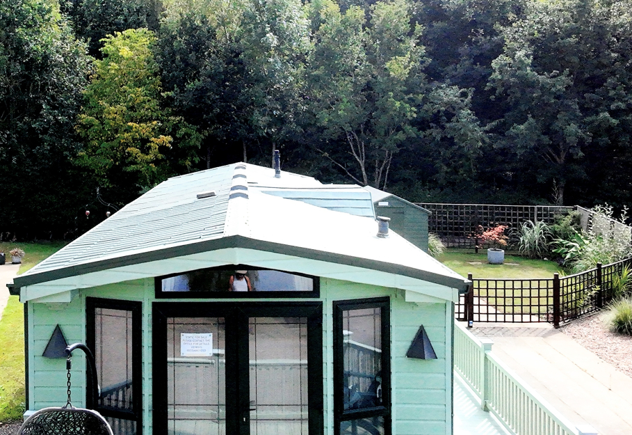 Willerby Vogue Connoisseur 2010