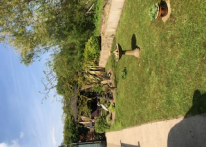 Willerby Clearwater 2015