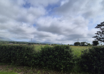Willerby Impression 2018