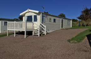 WILLERBY RIO GOLD 2013