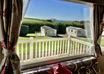 WILLERBY RIO GOLD 2013