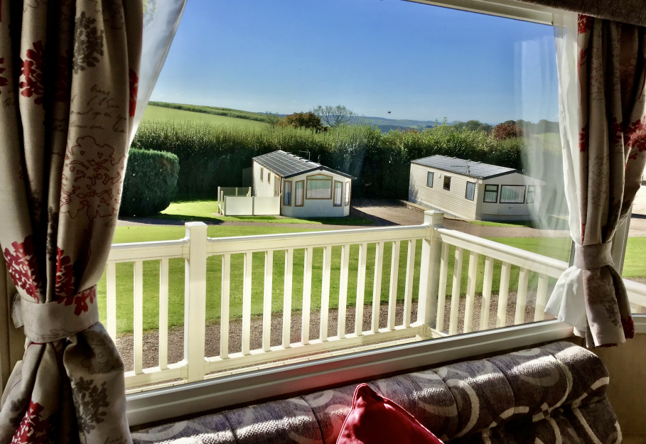 WILLERBY RIO GOLD 2013