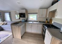 Willerby  Rio Gold 2019