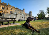 Victory Lakewood 2022