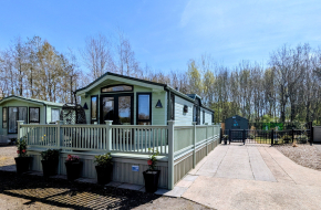 Willerby Vogue Connoisseur 2010