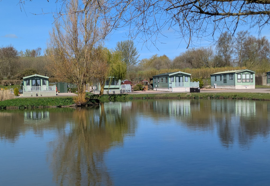 Willerby Vogue Connoisseur 2010