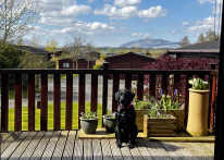 Pinelog Peveril 2002