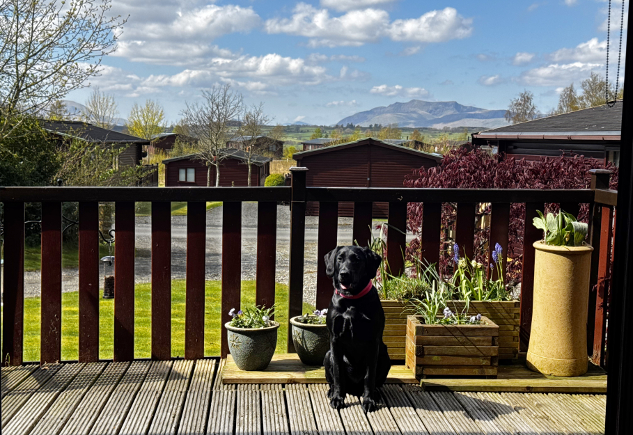 Pinelog Peveril 2002