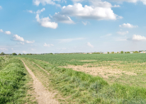 New Home Sales Plots 36×20 To 42×20 2025