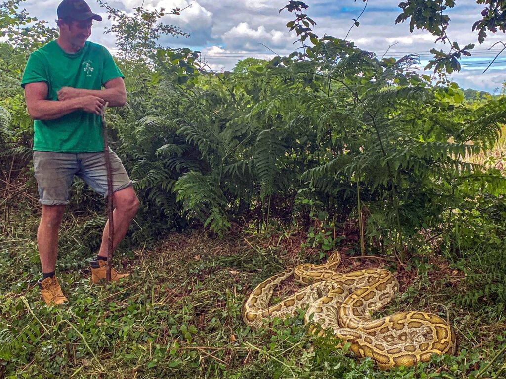 Monkton Wyld Holiday Park - 14 ft Snake Surprise - Charmouth (C)SimonKewley-4